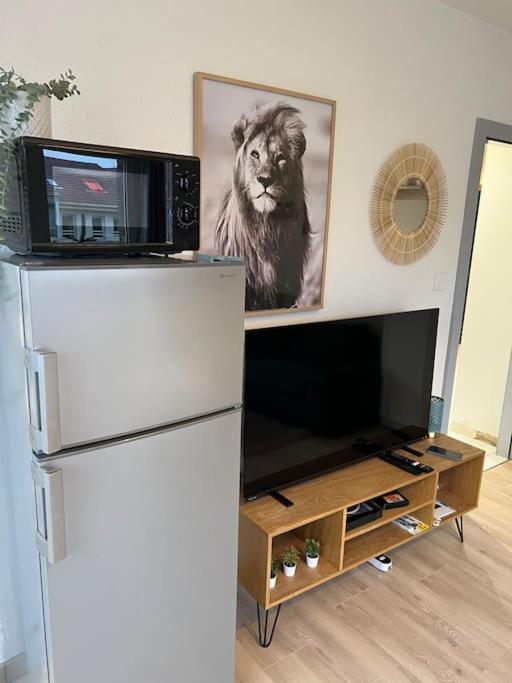 Adorable Appartement Strasbourg Neudorf Parking Sous Sol Luaran gambar